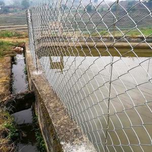 <b>Cheap</b> 4 Ft 6 Ft 8 Ft 10ft X 6ft Diamond Mesh Wire Fencing PVC Coated <b>Chain</b> Link Fence for Site Protectionesh - Product Image 2