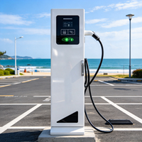 Borne de recharge AC pour VE sur pied, chargeur de voiture électrique à un seul pistolet avec écran et lecteur de carte, Type 2, pour utilisation en stationnement urbain