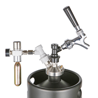 Kit de tonneau en acier inoxydable isolé à double paroi, distributeur de bière domestique portable avec robinet de CO2, kit de bricolage personnalisable