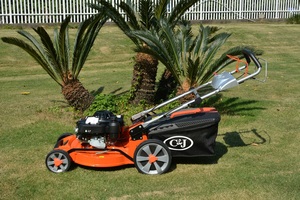 Cortacésped de gasolina autopropulsado Motor <span class=keywords><strong>OHV</strong></span> de cuatro tiempos GXV Loncin Bolsa de hierba de lujo con tablero de taza - Product Image 3