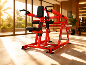Máquina de Gimnasio para Ejercicios de Dips Sentado con Placas de Acero de Alta Resistencia y Características de Seguridad para Entrenamiento de Músculos del Tronco Superior y Brazos - Product Image 6