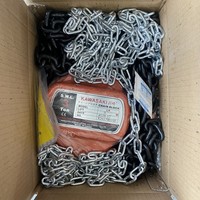 3-Tonnen-Handkettenzug mit 5m Hub, Ratschenbetrieb, Hochfestigkeit für Gießereiarbeiten