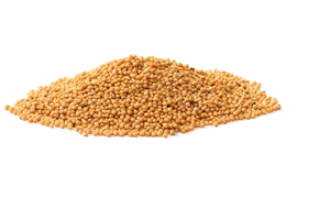 <span class=keywords><strong>Vendita</strong></span> diretta in fabbrica <span class=keywords><strong>semi</strong></span> di senape gialla all'ingrosso integrale naturale