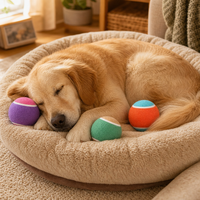 Balles de tennis élastiques pour chien, lot de 3, balles de tennis en caoutchouc à rebond élevé, non tissées, jouet interactif pour mâcher et apporter pour les chiens