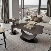 Juego de Mesa de Centro Stone Moon, Estilo Moderno y Minimalista de Lujo Ligero, para Sala de Estar, Apartamento Pequeño, Mesa de Té Ovalada Creativa de Estilo Nórdico
