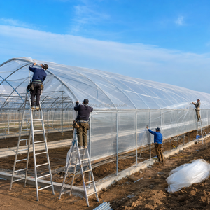 Serre en film multi-spans personnalisée pour la production commerciale de légumes, l'agriculture hydroponique et les projets d'agriculture intelligente - Product Image 2