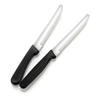 Couteau à steak professionnel en acier inoxydable pour cuisine de restaurant avec logo personnalisé et manche en PP