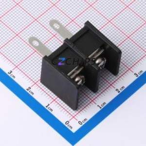 DBT30H-11.0-2P-BK-P Barrier Terminal Block Through hole Component (THT),P=11mm Connector 11mm 30A 300V - Product Image 1