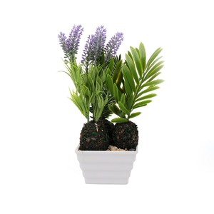 <span class=keywords><strong>Plantas</strong></span> artificiales encantadoras con maceta <span class=keywords><strong>de</strong></span> simulación <span class=keywords><strong>de</strong></span> suculentas, Mini bonsái en maceta, <span class=keywords><strong>plantas</strong></span> artificiales verdes - Product Image 1