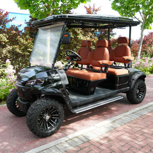 Carrito <span class=keywords><strong>de</strong></span> Golf Eléctrico <span class=keywords><strong>de</strong></span> Lujo para 4 Pasajeros, Asientos <span class=keywords><strong>de</strong></span> Cuero, Radio, para Villa u Hotel, Puede Conectar el Teléfono Móvil - Product Image 1