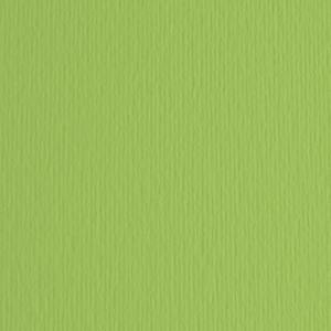 FABRIANO - ELLE ERRE CARDBOARD 70X100CM VERT POIS - Product Image 1