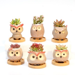Vaso <span class=keywords><strong>per</strong></span> Piante Succulente in Ceramica Lucida a Forma di Gufo, Creativo e Decorativo <span class=keywords><strong>per</strong></span> <span class=keywords><strong>Balconi</strong></span> <span class=keywords><strong>Esterni</strong></span> - Product Image 1