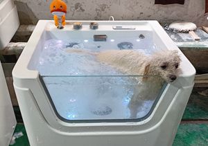 Baignoire pour <span class=keywords><strong>chien</strong></span> T Ozone, équipement de toilettage pour animaux, baignoire de toilettage pour <span class=keywords><strong>chien</strong></span>, baignoire <span class=keywords><strong>SPA</strong></span> pour animaux - Product Image 6