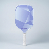 Vente directe d'usine B008 Anyball Raquette de pickleball en cristal violet 14 mm en fibre de verre pressée à froid avec structure en nid d'abeille pour l'entraînement professionnel