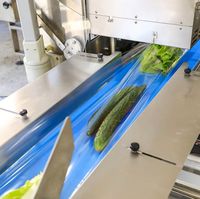 Machine d'emballage automatique de coussins au prix d'usine |   Fabricant fiable de machines d'emballage alimentaire