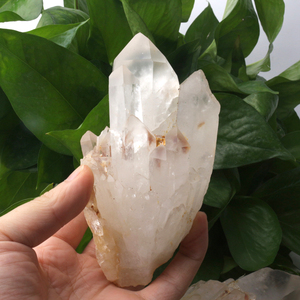 <strong>Wholesale</strong> Natural <strong>Raw</strong> Mineral Specimens Pineapple <strong>Crystal</strong> Cluster clear Quartz Cluster for Decoration - Product Image 5