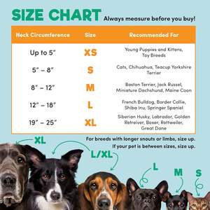 ปลอกคอสุนัขรูปทรงกรวยแบบนุ่มสบายหลังการผ่าตัดสำหรับสุนัขรูปทรงโดนัทแข็งเหมือน XS-XL หรูหรา - Product Image 6