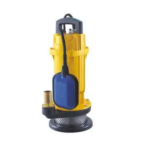2Inch 1HP Low Pressure Standard Domestic House Electric Submersible Vertical Clean Water Pump Well