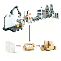 Système de palettisation robotisé automatique de haute performance pour l'industrie agroalimentaire, pour le stockage de boîtes et sacs
