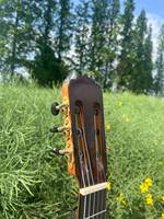 Aiersi Professional Raised Fretboard Glossy Smallman Classical Guitar All Solid Spruce Lattice Braced String Instrument