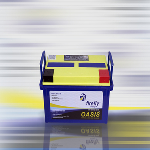 Batterie au gel VRLA AGM FIREFLY OASIS Advanced Microcel Carbon Foam 12V 65AH à décharge profonde, anti-déversement, longue durée de vie, IP65 - Product Image 2