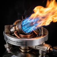 Réchaud de camping portable tout-en-un à essence, brûleur multi-combustibles haute pression pour cuisson extérieure