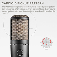 Microphone à condensateur à large diaphragme haute performance TNH P220, équipement de studio pour l'enregistrement, le streaming en direct et la diffusion