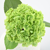Meilleur prix pour des hortensias artificiels hautement réalistes pour la décoration de mariage, de la maison, de la table, les accessoires de photographie, les arrangements floraux pour les festivals
