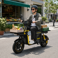 Moto électrique populaire et puissante sans batterie, légère, avec freins à disque et autonomie étendue pour adultes – Offre spéciale