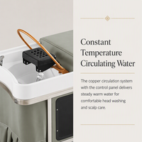 Table de massage électrique portable sur mesure avec réservoir d'eau chauffant, éponge haute densité, lit de spa japonais pour la tête, design inclinable, finition noire