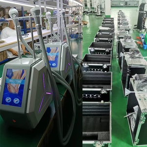 Equipo de Spa <span class=keywords><strong>para</strong></span> Clínica de Belleza y Contorno Corporal, Dispositivo C8 Cryoskin, Máquina de Análisis de Piel - Product Image 2