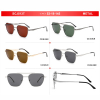 Lunettes de soleil polarisées UV400 Sunray personnalisées avec logo, nouvelle collection, double pont, pour hommes et femmes, vente en gros