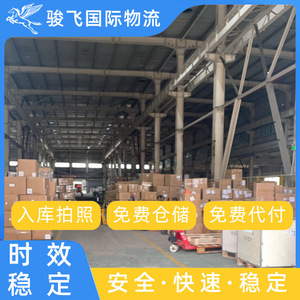 Shenzhen Junfei Logistics, Servicio Internacional de Transporte Marítimo LCL, Envío de Contenedores a México - Product Image 4