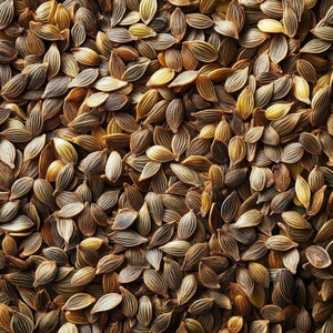 น้ำมันเมล็ดผักชีลาว (น้ำมันเมล็ด Anethum Graveolens) - น้ำมันหอมระเหยสมุนไพรธรรมชาติ |   สำหรับผิวหนัง ผม การนวด และการผสมผสานอโรมาเธอราพี - Product Image 5