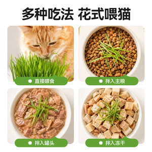 Bol à salade pour animaux de compagnie, herbe pour chat, conteneur rond de 96g pour chats - Product Image 5