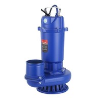 Pompe submersible QDX 220V monophasée en alliage d'aluminium 3 pouces/4 pouces pour l'irrigation domestique et agricole à haute pression