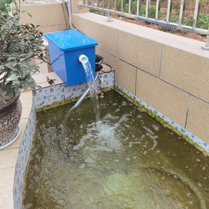 Filtre pour étang de poissons, Production d'eau douce, ensemble complet, pré-filtre de paysage, bassin d'eau de mer - Product Image 1