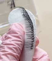 Label privé 0.07mm C D Curl Extension de Cils Plateau Vegan Doux Facile à Greffer 8-18mm PBT Fibre Volume Lash Style Mat