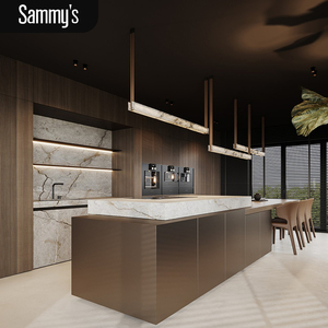 Nouveautés 2025 : Meubles de cuisine, portes d'armoires, design en aluminium, métal, PVC, armoires de cuisine modulaires en acier inoxydable - Product Image 2