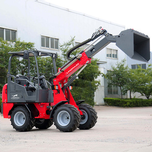 Wholesale Farm Use Telescopic W1150t Engine <b>Wheel</b> with Mini Hydraulic <b>Small</b> Sale High Performance - Product Image 5