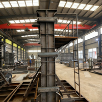 Moule préfabriqué en acier pour mur en béton, mur pare-feu en béton préfabriqué, coffrage pour mur de soutènement, vente en gros d'usine OEM ODM