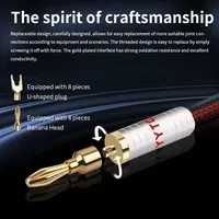 Câble audio HIFI C1 4MM 2 bananes mâle-mâle, avec cœurs plaqués argent et fiches plaquées or, 8 fiches bananes remplaçables pour haut-parleur