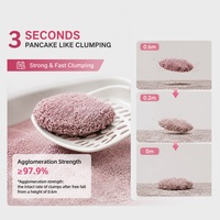 Litière pour chat en bentonite naturelle, agglomération rapide, désodorisante, super absorbante, légère, facile à ramasser, distributeur en gros