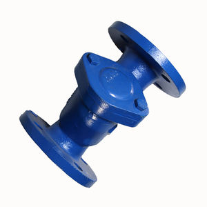 Filtre en Y PN16 (à bride) - Product Image 4