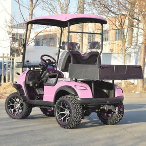 2 <strong>Seater</strong> Pink Adjustable Seats <strong>Electric</strong> Club <strong>Car</strong> Golf Carts Equipped with 3.5KW AC Motor for Off-road Hunting - Product Image 6