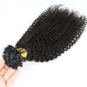 Extensions de cheveux naturels <span class=keywords><strong>u</strong></span>-tip bouclées — ali queen, Extensions capillaires non traités, vente en gros, usine - Product Image 1