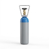 Cylindre en acier pour dioxyde de carbone EN ISO9809 2,7 L, cylindre de CO2 de 2 kg avec valve et poignée en acier