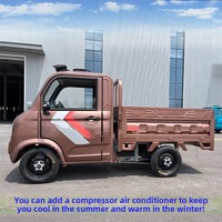 Camion de fret électrique domestique chinois fourni par l'usine, véhicule électrique à quatre roues, moteur 60V 1000W, autonomie <100km, personnalisable