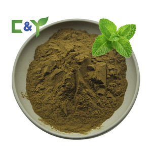 Экстракт мяты перечной в порошке - Product Image 1