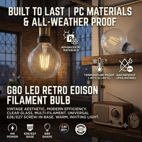 Bombillas Globo G12 G16 G25 G30 G40 G50 G60 G70 G80 G90 G95 G125 G150 para Interiores y Exteriores, Jardín, Resistentes a Impactos, PC, IP65, CRI80, Regulables, OEM